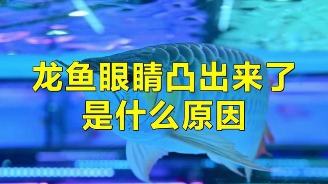 如何預(yù)防雷龍魚突眼（雷龍魚突眼怎么辦）