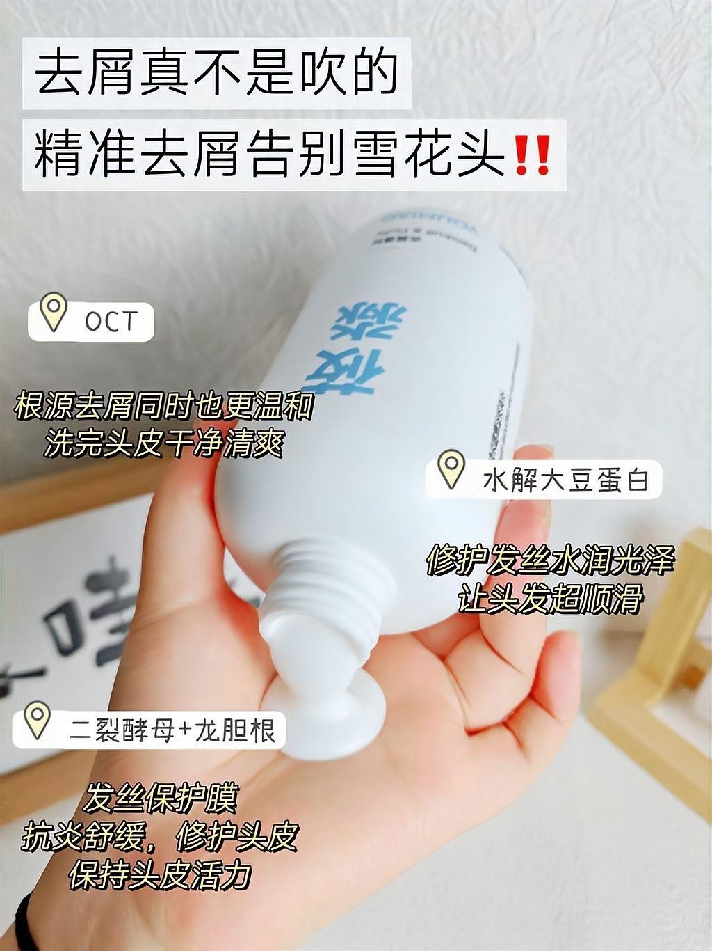 這些品牌中哪個口碑最好？（口碑最好的十大品牌）