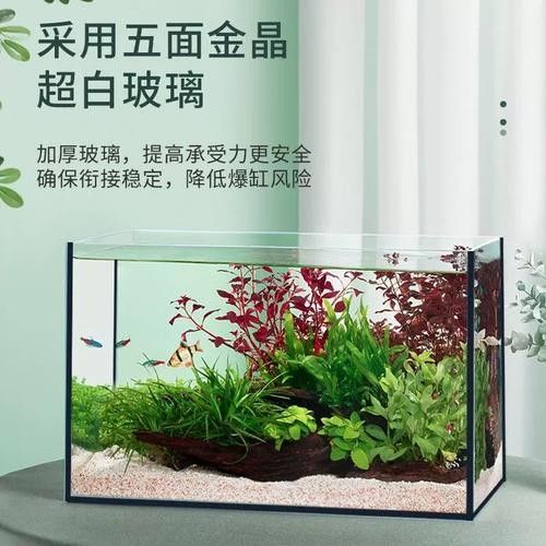 黑缸和白缸的價格差異大嗎（缸和白缸的價格差異大嗎？）