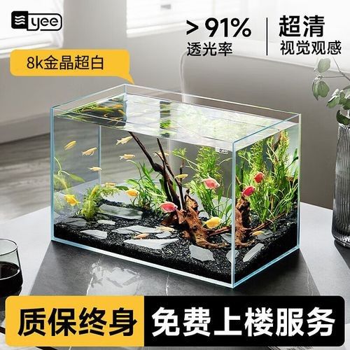 黑缸和白缸的價格差異大嗎（缸和白缸的價格差異大嗎？）