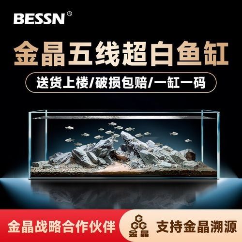 黑缸和白缸的價格差異大嗎（缸和白缸的價格差異大嗎？）