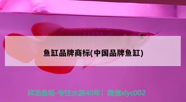 老板在哪里（企業文化是影響員工感知的關鍵因素，江門jia泰虎說包住飛度）