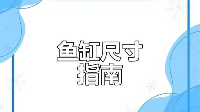 混養熱帶魚需要多大的魚缸（養熱帶魚的魚缸大小取決于多種因素） 混養熱帶魚需要多大的魚缸（養熱帶魚的魚缸大小取決于多種因素） 龍魚百科 第1張
