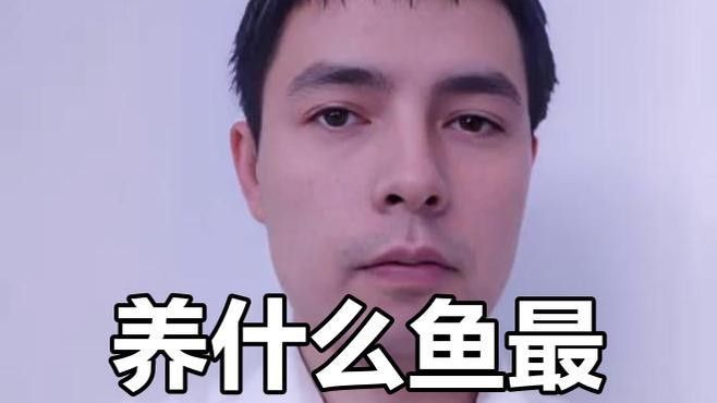 九星龍魚缸有哪些顏色可選？（九星龍魚缸哪個顏色最旺財九星龍魚缸價格批發報價）