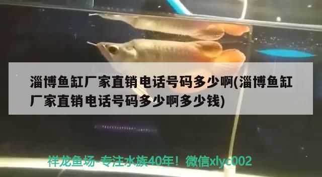 淄博魚(yú)缸廠家直銷(xiāo)電話號(hào)碼多少啊(淄博魚(yú)缸廠家直銷(xiāo)電話號(hào)碼多少啊多少錢(qián))（關(guān)于淄博魚(yú)缸廠家直銷(xiāo)電話號(hào)碼多少啊）