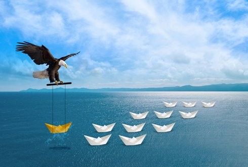 寶龍魚缸的售后服務電話是多少？