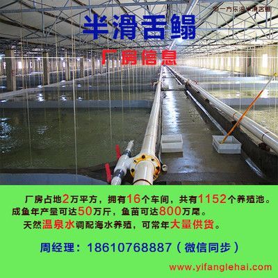 紅龍魚品牌有哪些種類：飼養紅龍魚需要注意些什么，紅龍魚的繁殖周期是怎樣的