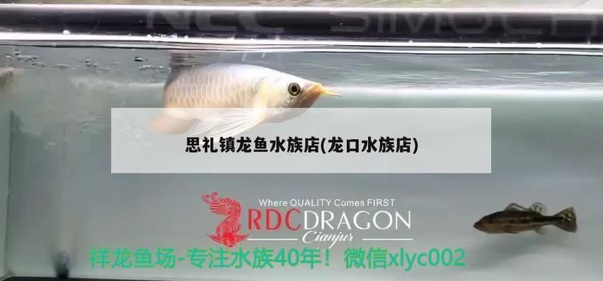瀘州龍魚水族店：瀘州市龍魚水族店定制專屬水族品種和專業的養護服務