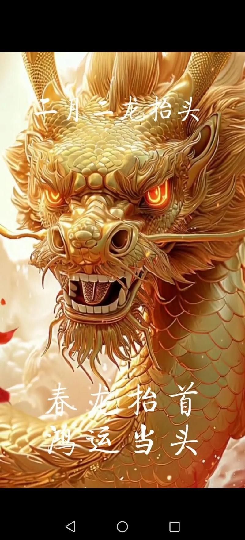 給我一些龍魚缸壁紙的圖片（魚缸壁紙通常指的是那些用于裝飾室內或室外龍魚缸的壁紙）