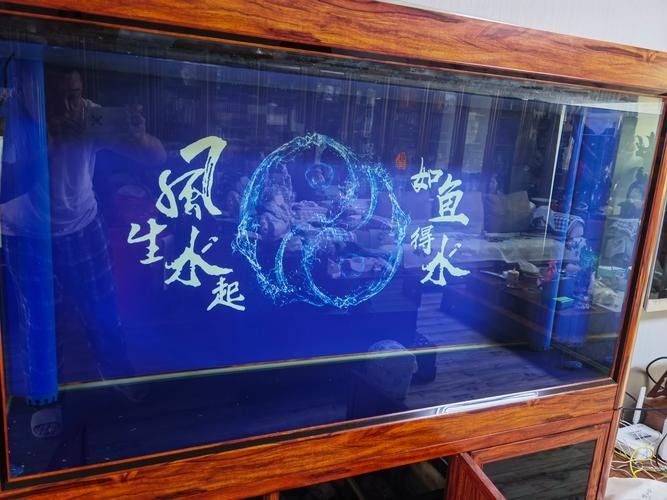 給我一些龍魚缸壁紙的圖片（魚缸壁紙通常指的是那些用于裝飾室內或室外龍魚缸的壁紙）