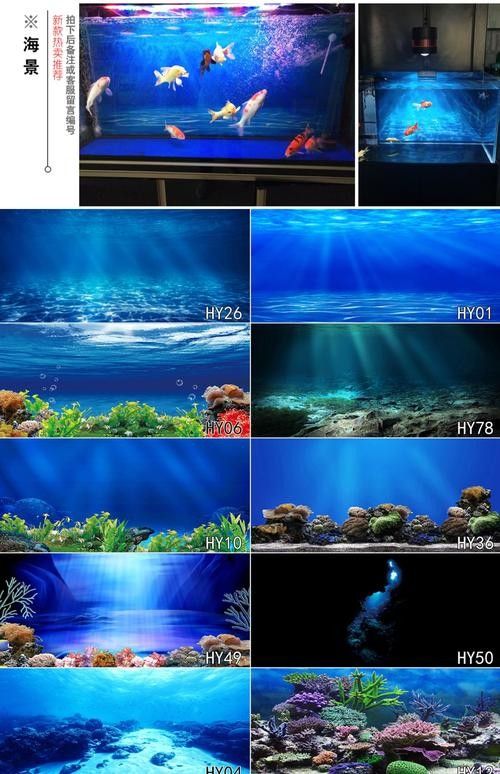 給我一些龍魚缸壁紙的圖片（魚缸壁紙通常指的是那些用于裝飾室內或室外龍魚缸的壁紙）