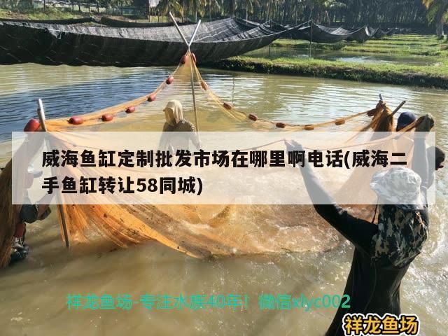 <strong><mark>威海</mark></strong>魚缸定制批發市場在哪里啊電話(<strong><mark>威海</mark></strong>二手魚缸轉讓58同城)（<strong><mark>威海</mark></strong>魚缸定制批發市場在哪里）