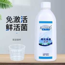 哪里可以購買到高檔龍魚（高檔龍魚的渠道多樣，以下幾個主要途徑是主要途徑）