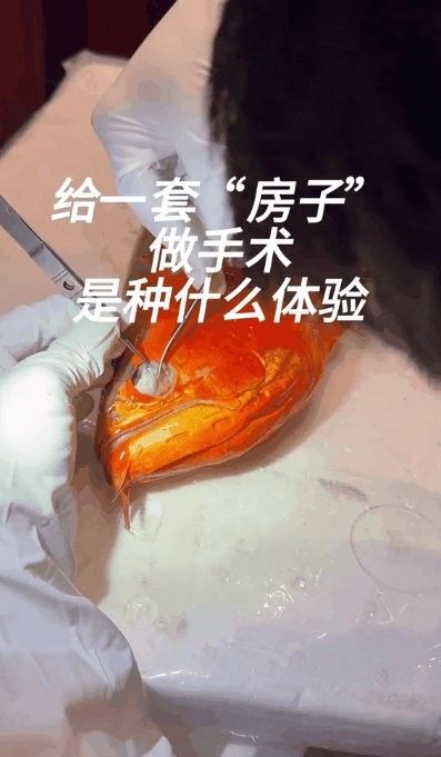 龍魚眼睛掉眼手術風險大嗎（龍魚掉眼手術后的護理技巧,）