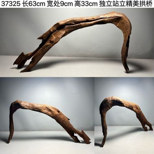沉木放龍魚缸需要定期清洗嗎（木放龍魚缸如何保持清潔）