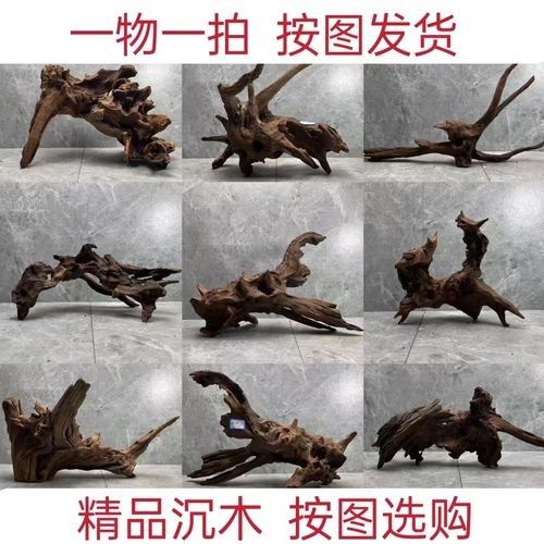 沉木放龍魚缸需要定期清洗嗎（木放龍魚缸如何保持清潔）