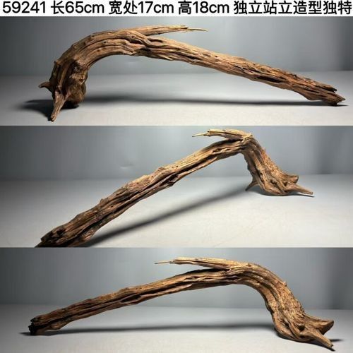 沉木放龍魚缸需要定期清洗嗎（木放龍魚缸如何保持清潔）