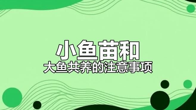 幼魚何時可以與親魚混養？（幼魚與親魚混養的時間）