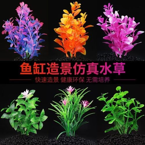 哪個品牌的魚缸造景性價比最高（魚缸造景品牌性價比的綜合分析）