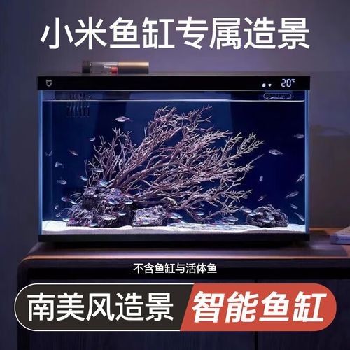 哪個品牌的魚缸造景性價比最高（魚缸造景品牌性價比的綜合分析）