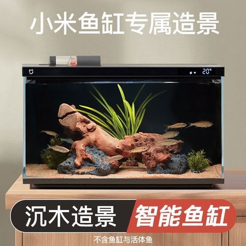 哪個品牌的魚缸造景性價比最高（魚缸造景品牌性價比的綜合分析）