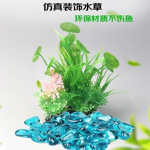 哪個品牌的魚缸造景性價比最高（魚缸造景品牌性價比的綜合分析）