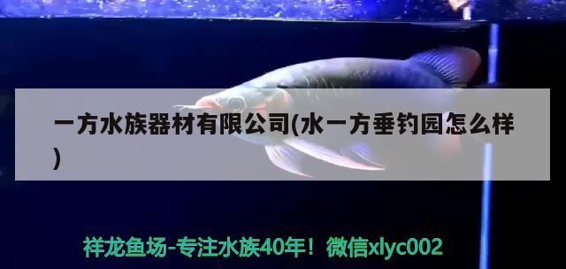 一方<strong><mark>水族器材</mark></strong>有限公司(水一方垂釣園怎么樣)（一方<strong><mark>水族器材</mark></strong>有限公司）