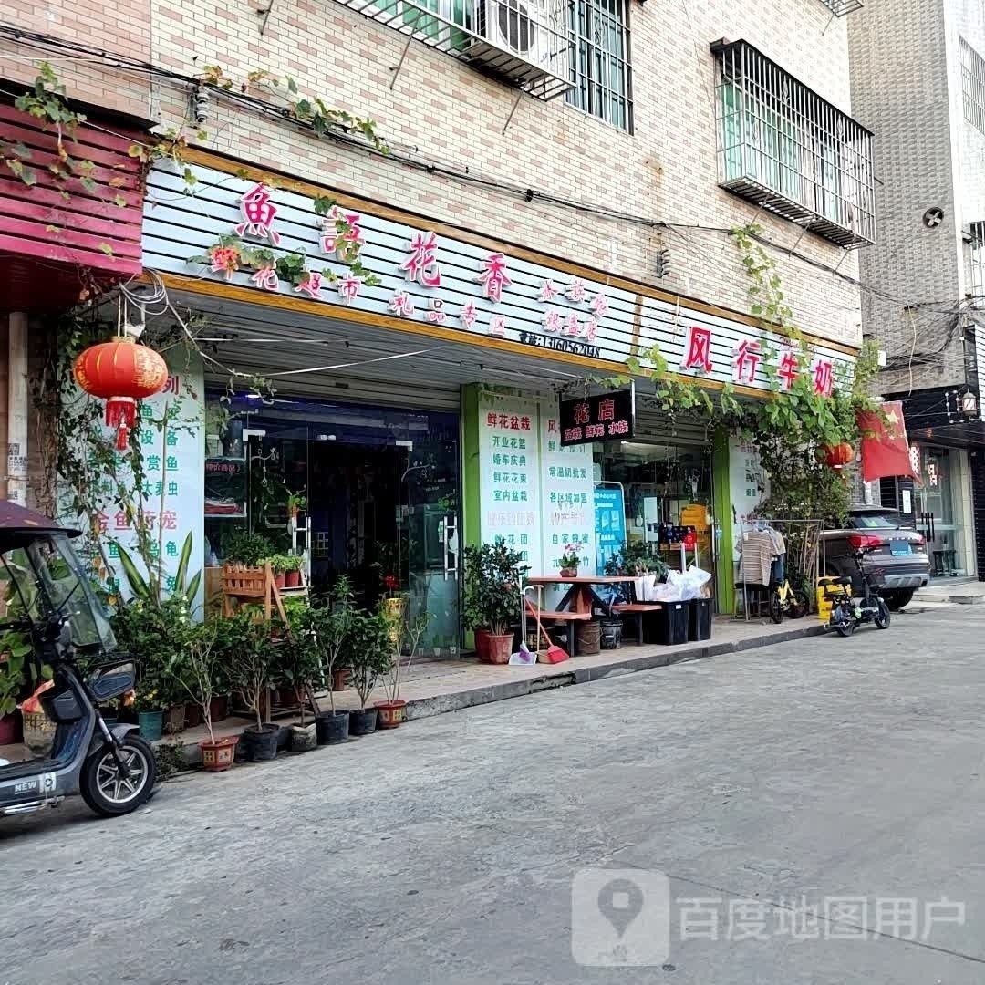 清遠哪個水族館龍魚好？祥龍魚場龍魚