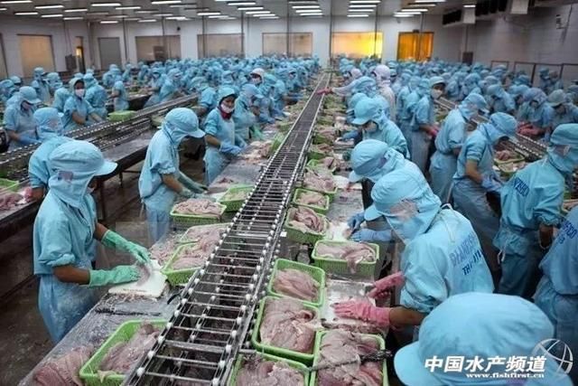 單養(yǎng)紅龍魚要多大的缸:如何選擇一個(gè)適合自己的魚缸 觀賞魚百科 第1張 單養(yǎng)紅龍魚要多大的缸:如何選擇一個(gè)適合自己的魚缸 單養(yǎng)紅龍魚要多大的缸:如何選擇一個(gè)適合自己的魚缸 觀賞魚百科 第1張