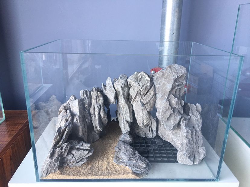廢墟未完（《廢墟未完》一部探討歷史與記憶的文學作品）