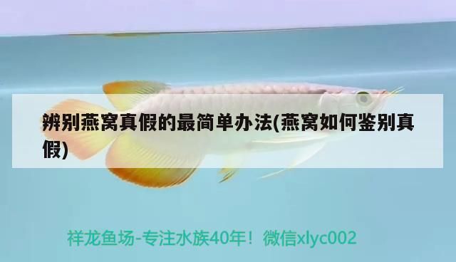 辨別燕窩真假的最簡(jiǎn)單辦法(燕窩如何鑒別真假)（如何辨別燕窩的真假）