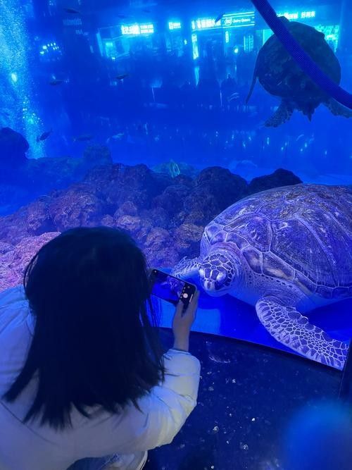 桑日哪個水族館龍魚好？祥龍魚場龍魚