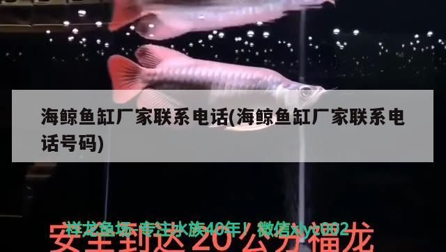 海鯨魚缸廠家聯系電話(海鯨魚缸廠家聯系電話號碼)