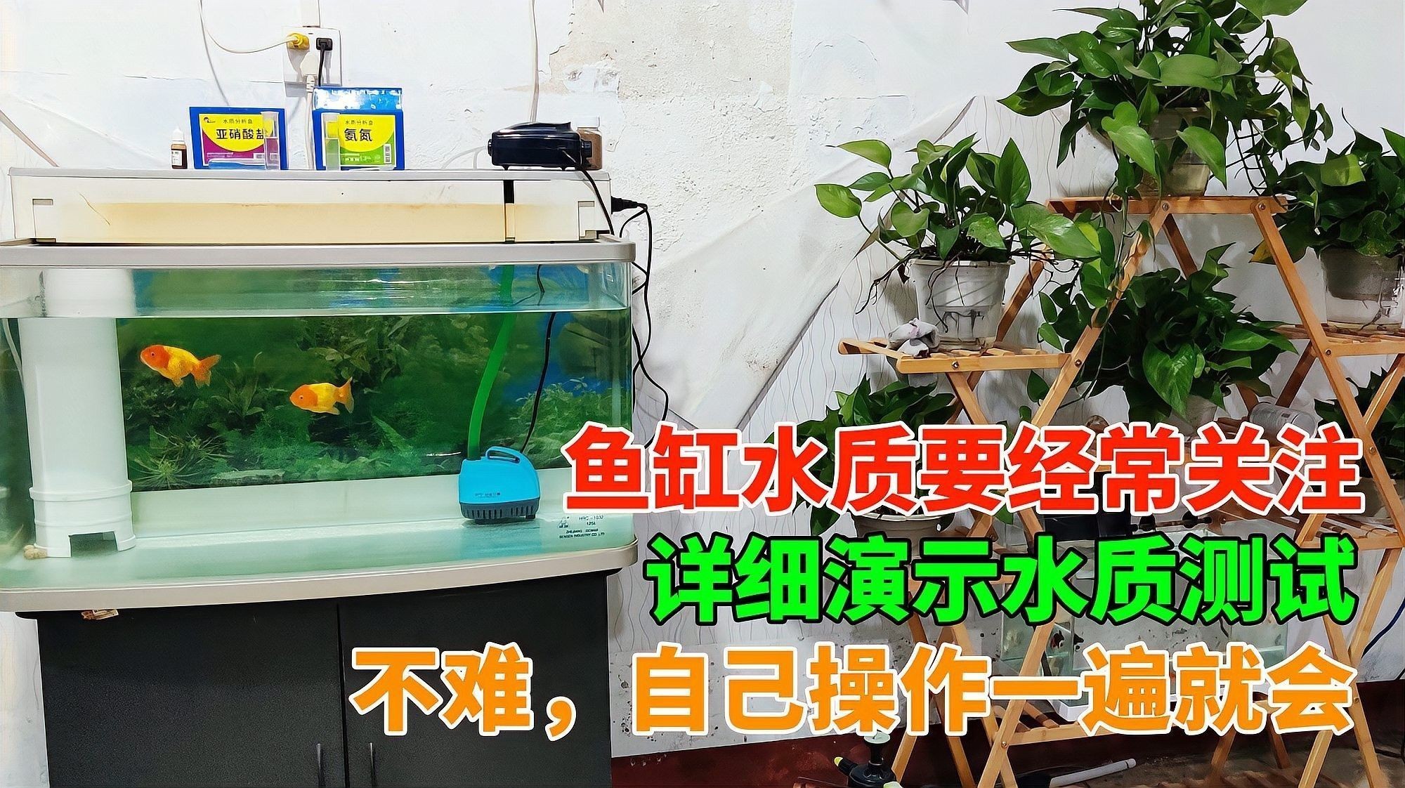 如何檢測魚缸水質參數？