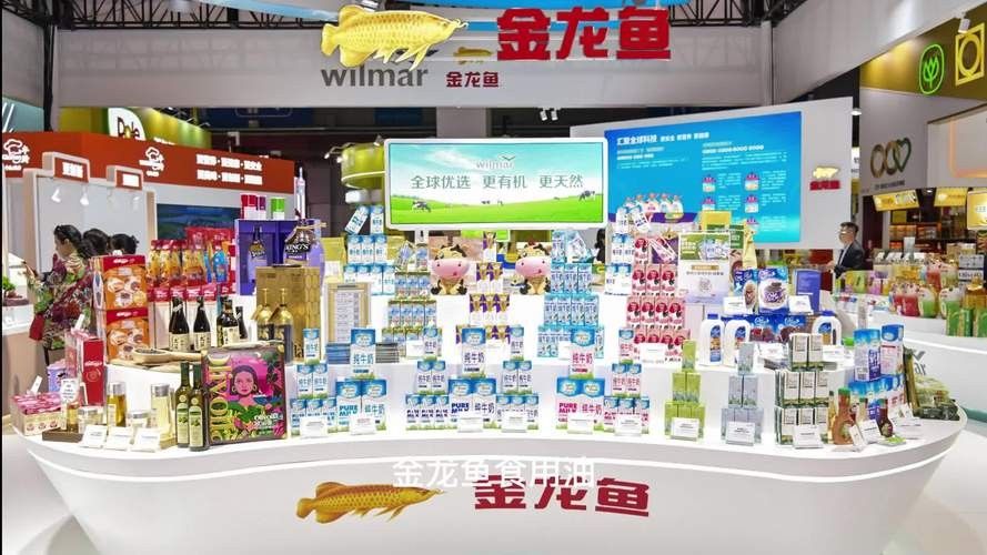 哪里可以找到信譽良好的金龍魚賣家