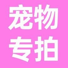 YEE雷龍魚飼料哪里可以購買？（yee雷龍魚飼料有哪些型號） YEE雷龍魚飼料哪里可以購買？（yee雷龍魚飼料有哪些型號） 龍魚百科 第3張