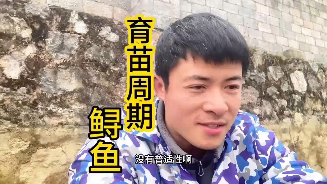 鱘龍魚養殖周期是多久？