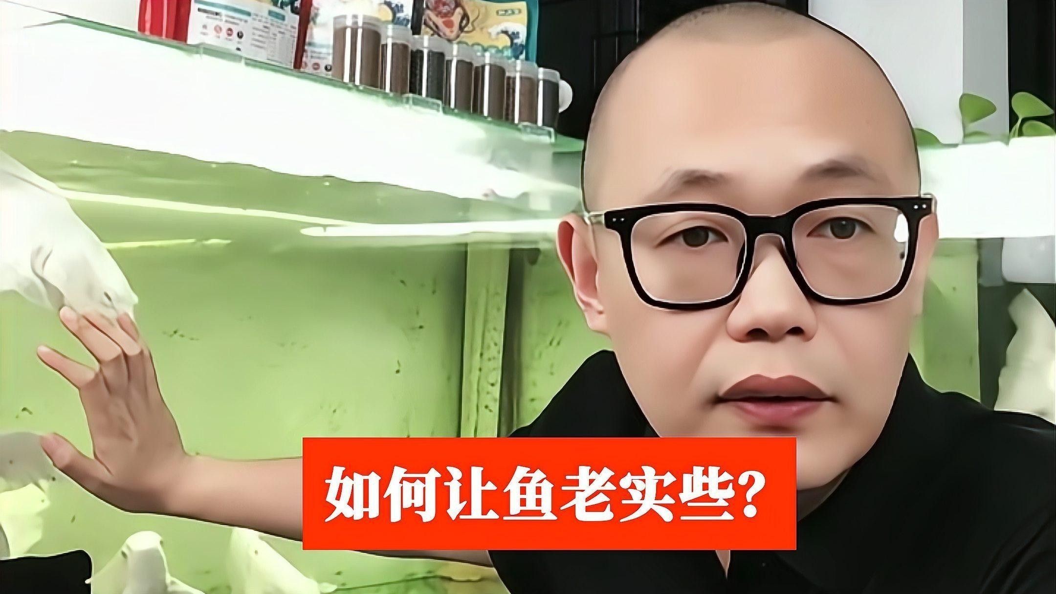 龍魚麻藥有哪些副作用
