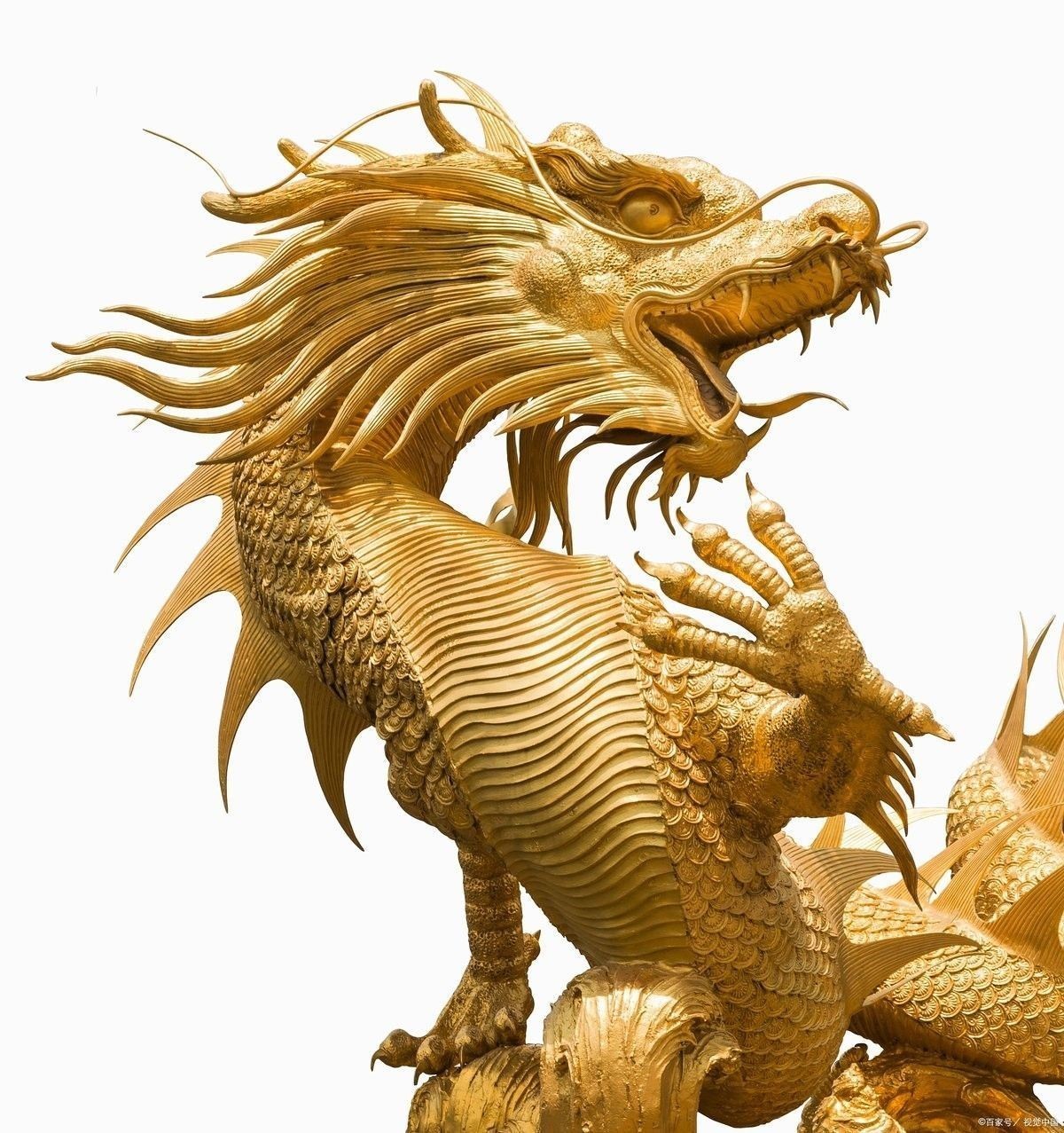 龍族社會如何影響龍的成長？