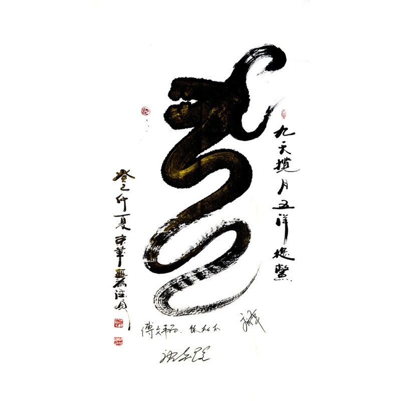 龍族社會如何影響龍的成長？