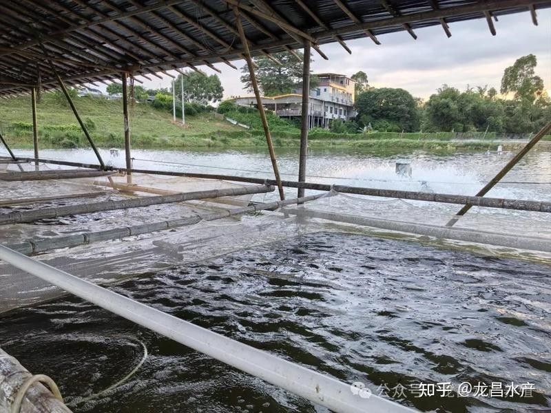 換水時需要注意什么