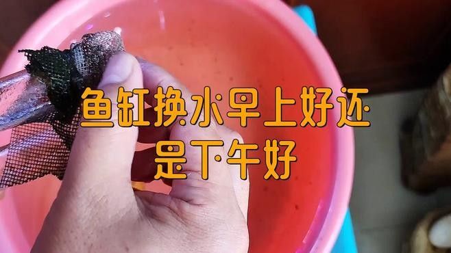 換水時需要注意什么
