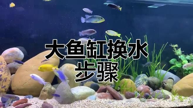換水時需要注意什么