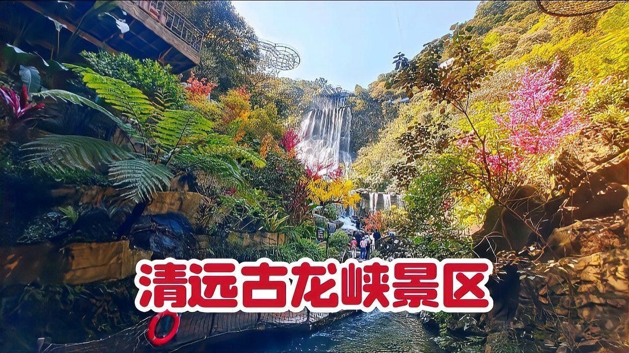 古龍魚莊的最佳游玩時間
