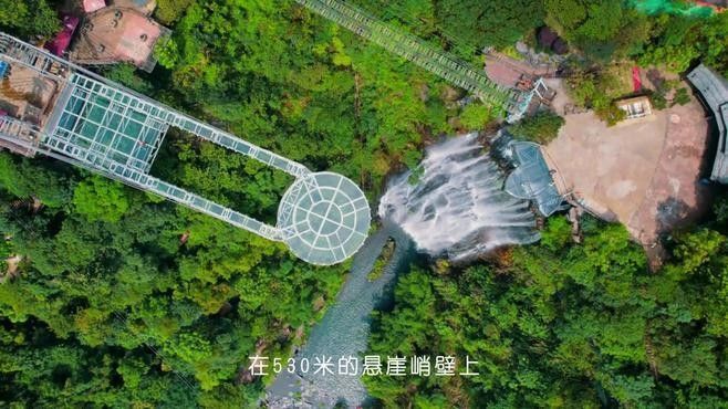 古龍魚莊的最佳游玩時間