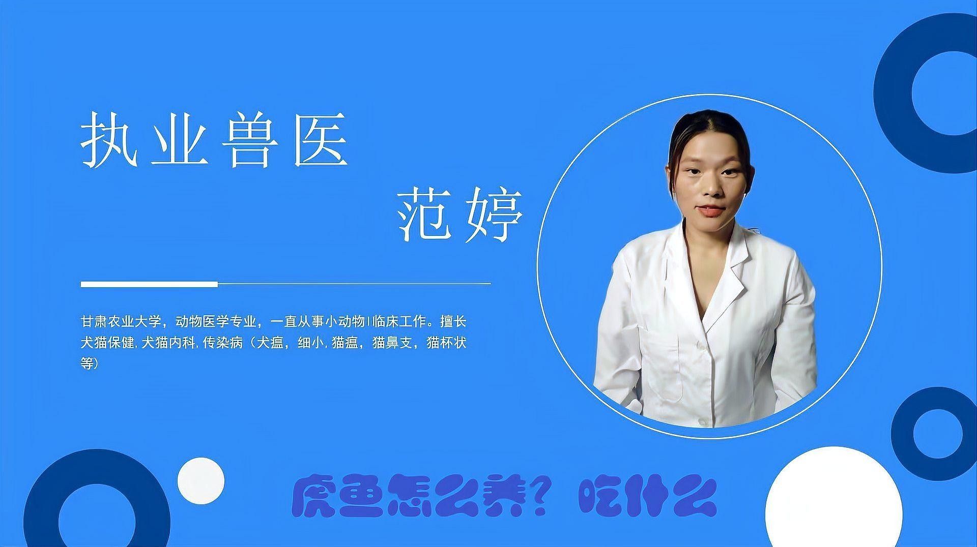 龍魚、虎魚和鳳魚的價格是多少（魚、虎魚和鳳魚的價格信息綜合整理）