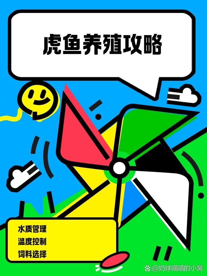 龍魚、虎魚和鳳魚的價格是多少（魚、虎魚和鳳魚的價格信息綜合整理）