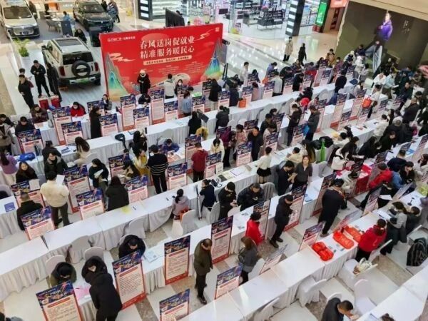 金龍魚事件對石家莊就業有何影響？（石家莊金龍魚事件對石家莊就業市場產生直接影響的明確證據）