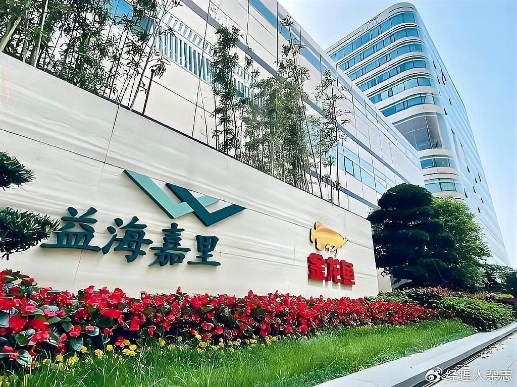 金龍魚事件對石家莊就業有何影響？（石家莊金龍魚事件對石家莊就業市場產生直接影響的明確證據）