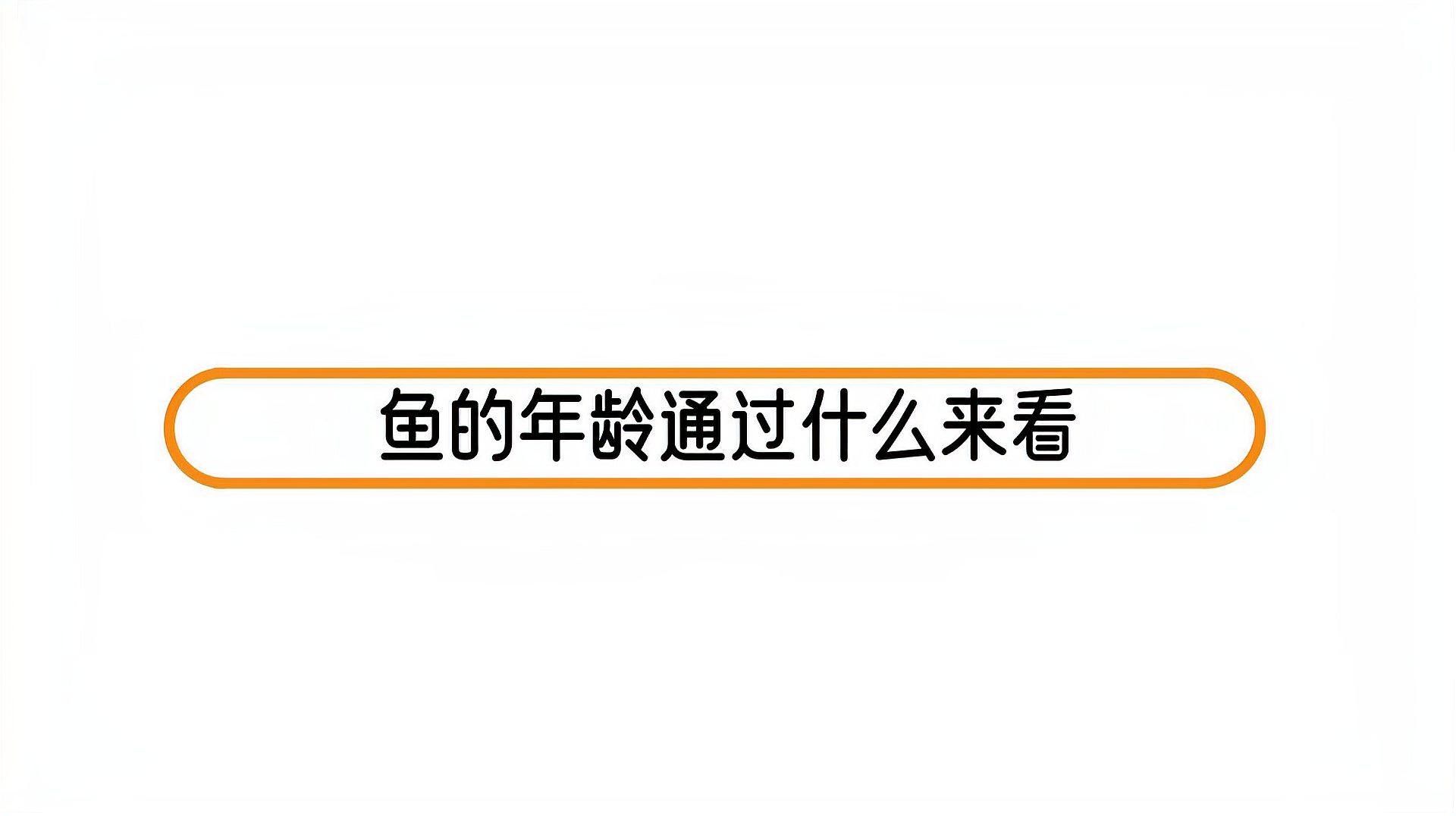 鱗片年輪分析法具體如何操作？ 鱗片年輪分析法具體如何操作？ 龍魚百科 第3張